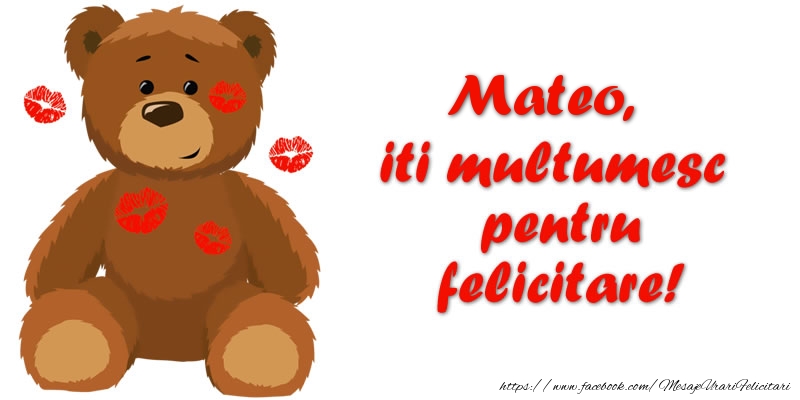 Felicitari de multumire - Ursuleti | Mateo iti multumesc pentru felicitare!
