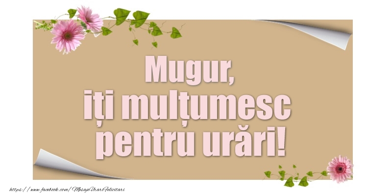 Felicitari de multumire - Flori | Mugur, iți mulțumesc pentru urări!