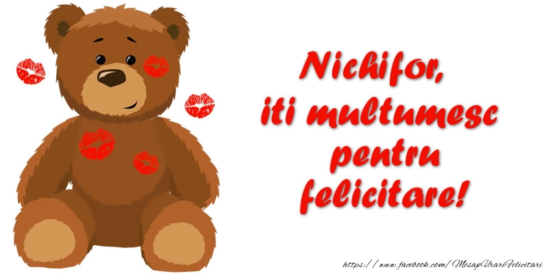 Felicitari de multumire - Ursuleti | Nichifor iti multumesc pentru felicitare!