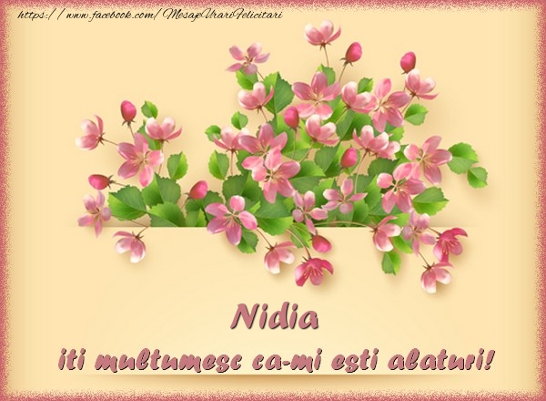 Felicitari de multumire - Flori | Nidia, iti multumesc ca-mi esti alaturi!