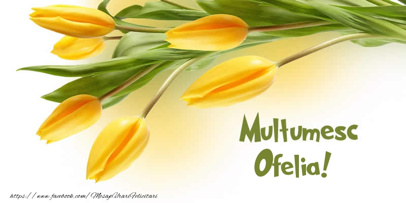 Felicitari de multumire - Lalele | Multumesc Ofelia!