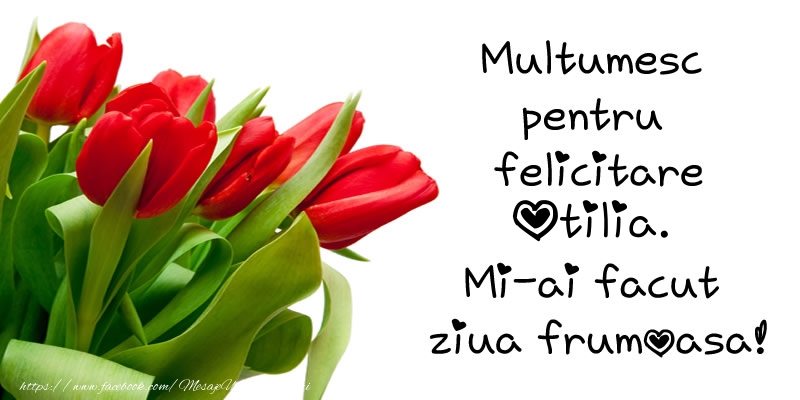 Felicitari de multumire - Multumesc pentru  felicitare Otilia! Mi-ai facut  ziua frumoasa!