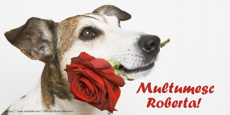 Felicitari de multumire - Trandafiri | Multumesc Roberta!