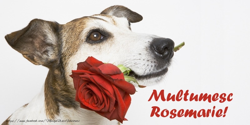 Felicitari de multumire - Trandafiri | Multumesc Rosemarie!