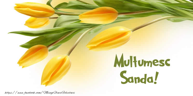 Felicitari de multumire - Lalele | Multumesc Sanda!