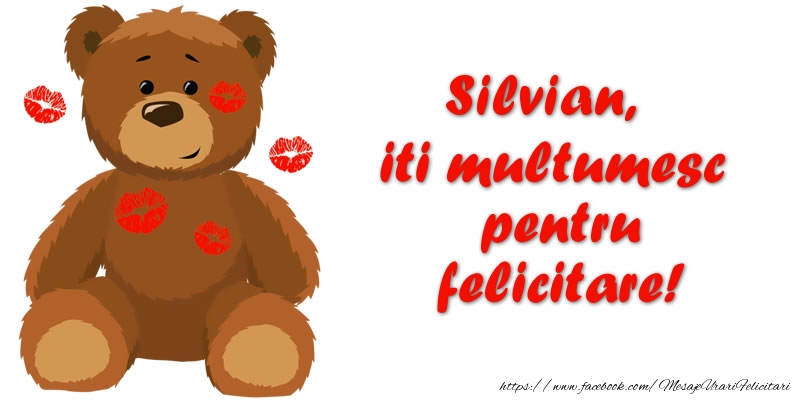 Felicitari de multumire - Ursuleti | Silvian iti multumesc pentru felicitare!