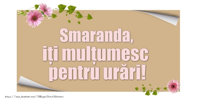 Felicitari de multumire - Smaranda, iți mulțumesc pentru urări!