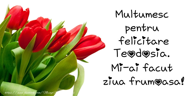 Felicitari de multumire - Lalele | Multumesc pentru  felicitare Teodosia! Mi-ai facut  ziua frumoasa!