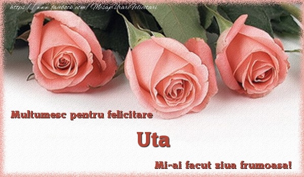 Felicitari de multumire - Multumesc pentru felicitare Uta! Mi-ai facut ziua frumoasa!