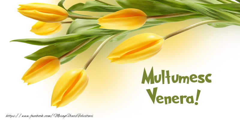 Felicitari de multumire - Lalele | Multumesc Venera!