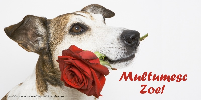 Felicitari de multumire - Multumesc Zoe!