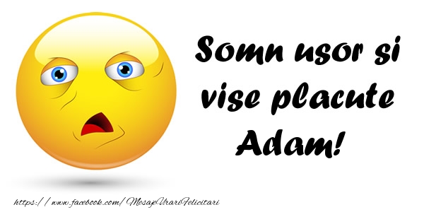 Felicitari de noapte buna - Emoticoane | Somn usor si vise placute Adam!