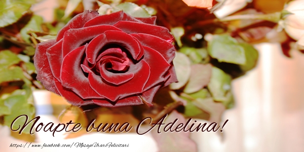Felicitari de noapte buna - Trandafiri | Noapte buna Adelina!