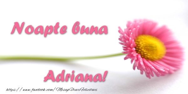 Felicitari de noapte buna - Flori | Noapte buna Adriana!