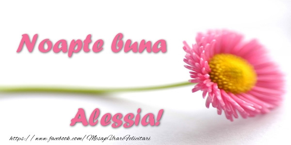Felicitari de noapte buna - Flori | Noapte buna Alessia!