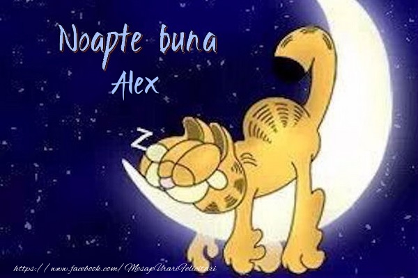 Felicitari de noapte buna - Luna & Animație | Noapte buna Alex