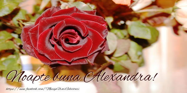 Felicitari de noapte buna - Trandafiri | Noapte buna Alexandra!