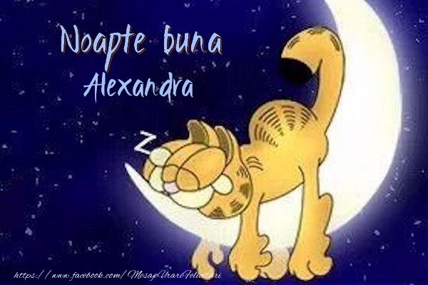 Felicitari de noapte buna - Noapte buna Alexandra