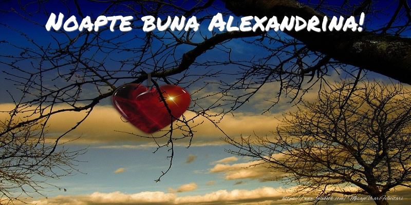 Felicitari de noapte buna - Noapte buna Alexandrina!