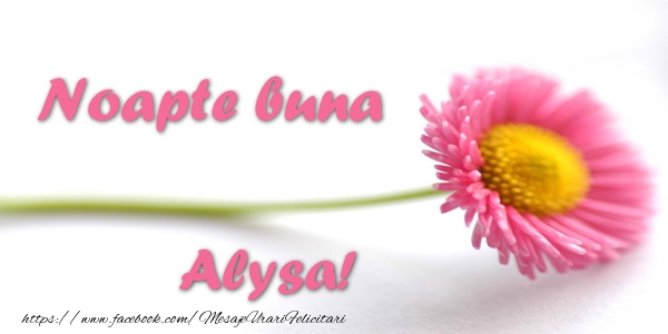 Felicitari de noapte buna - Flori | Noapte buna Alysa!