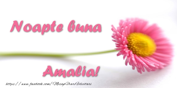 Felicitari de noapte buna - Flori | Noapte buna Amalia!