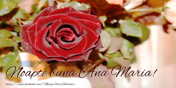 Felicitari de noapte buna - Trandafiri | Noapte buna Ana Maria!
