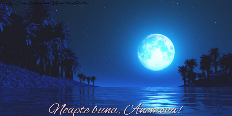 Felicitari de noapte buna - Noapte buna, Anemona!