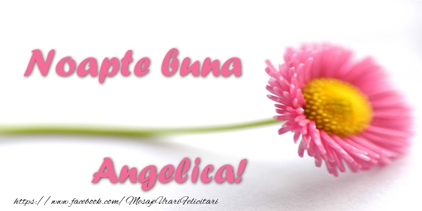Felicitari de noapte buna - Noapte buna Angelica!