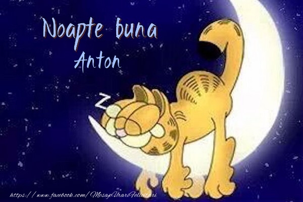 Felicitari de noapte buna - Noapte buna Anton