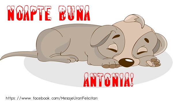 Felicitari de noapte buna - Animație | Noapte buna Antonia!