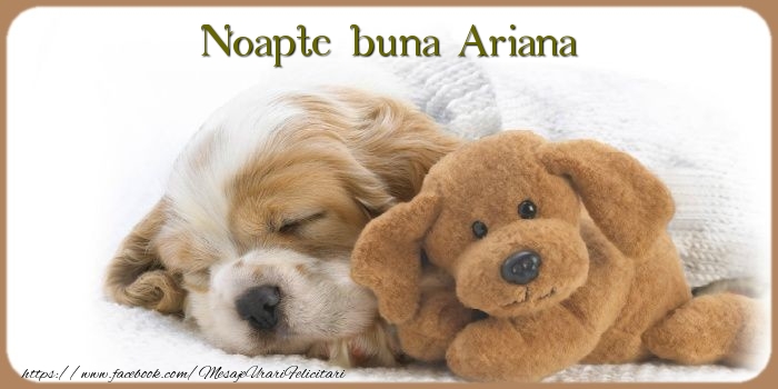 Felicitari de noapte buna - Animație & Ursuleti | Noapte buna Ariana