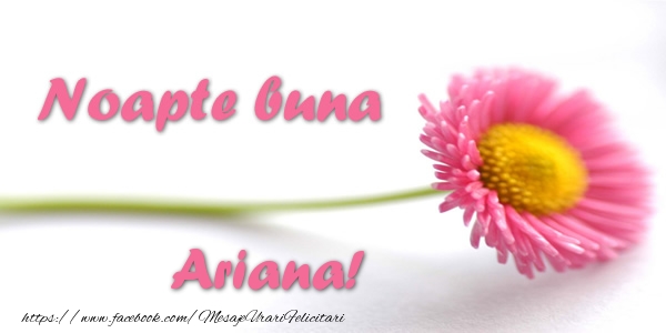 Felicitari de noapte buna - Flori | Noapte buna Ariana!