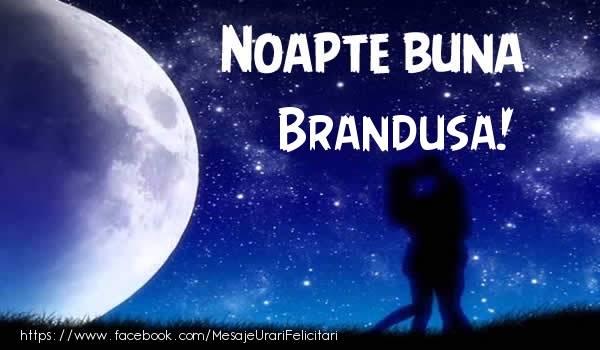 Felicitari de noapte buna - Luna & Stele | Noapte buna Brandusa!