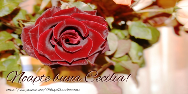 Felicitari de noapte buna - Trandafiri | Noapte buna Cecilia!