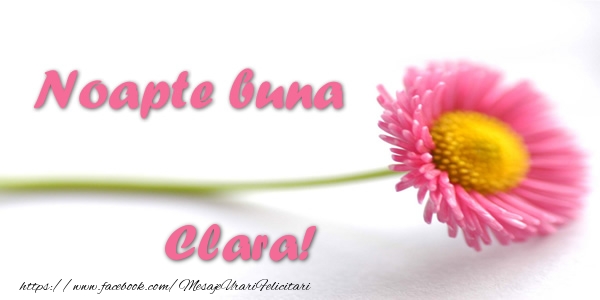 Felicitari de noapte buna - Flori | Noapte buna Clara!