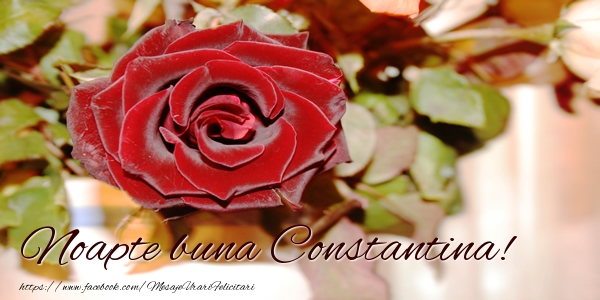 Felicitari de noapte buna - Trandafiri | Noapte buna Constantina!