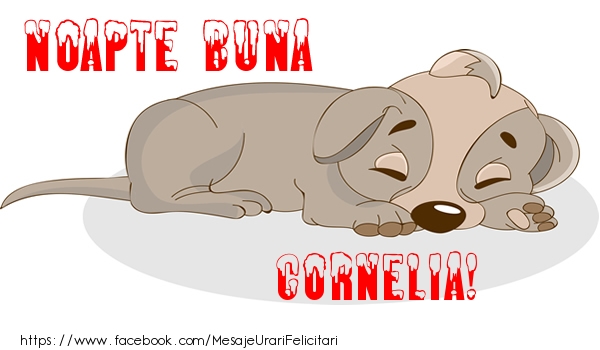 Felicitari de noapte buna - Animație | Noapte buna Cornelia!