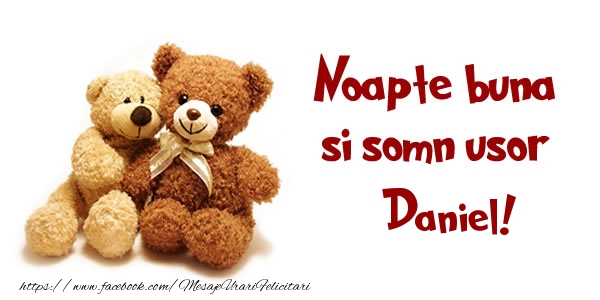 Felicitari de noapte buna - Ursuleti | Noapte buna si Somn usor Daniel!