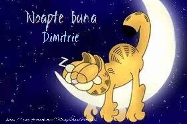 Felicitari de noapte buna - Noapte buna Dimitrie