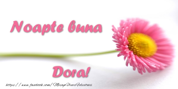 Felicitari de noapte buna - Noapte buna Dora!