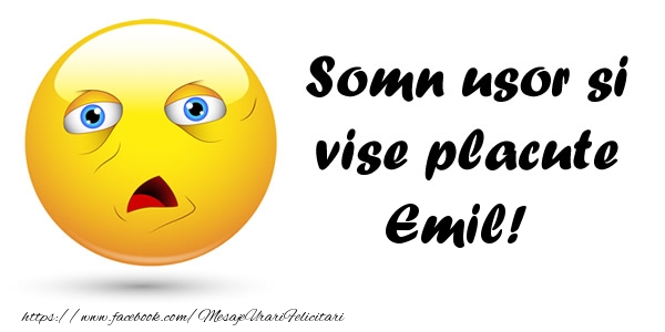 Felicitari de noapte buna - Emoticoane | Somn usor si vise placute Emil!