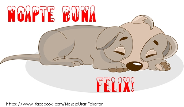 Felicitari de noapte buna - Animație | Noapte buna Felix!