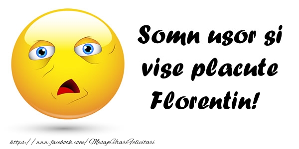 Felicitari de noapte buna - Somn usor si vise placute Florentin!