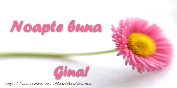 Felicitari de noapte buna - Flori | Noapte buna Gina!