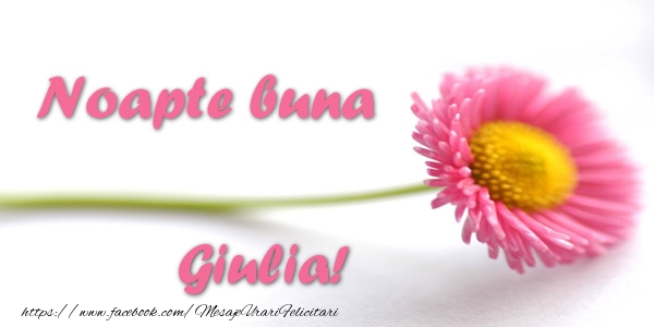 Felicitari de noapte buna - Flori | Noapte buna Giulia!