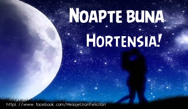 Felicitari de noapte buna - Luna & Stele | Noapte buna Hortensia!