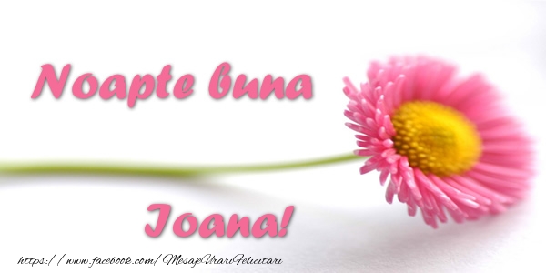 Felicitari de noapte buna - Flori | Noapte buna Ioana!