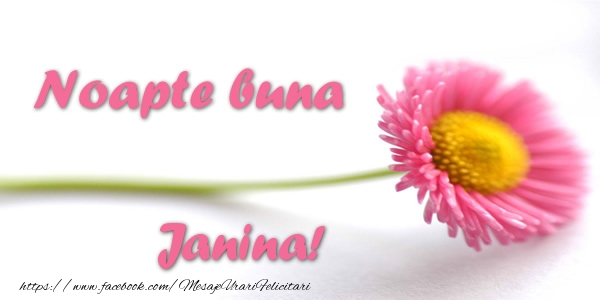 Felicitari de noapte buna - Flori | Noapte buna Janina!
