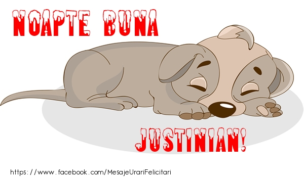 Felicitari de noapte buna - Animație | Noapte buna Justinian!