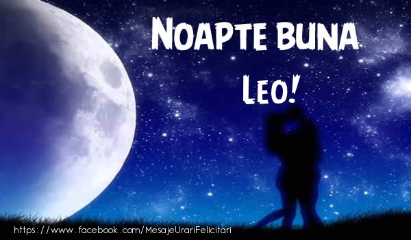 Felicitari de noapte buna - Luna & Stele | Noapte buna Leo!